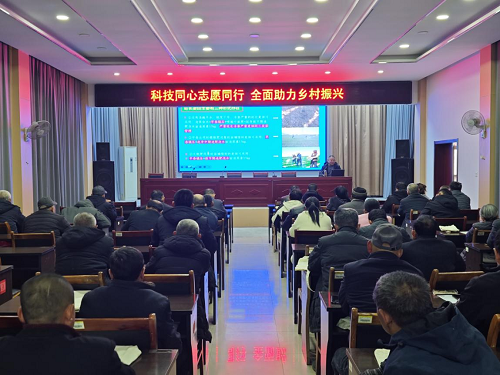 1742368557681273.png 3.png