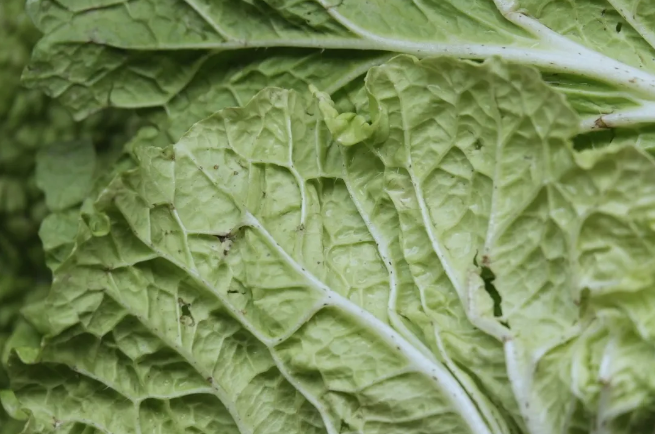 1735777235746026.png 微信图片_20250102081744.png