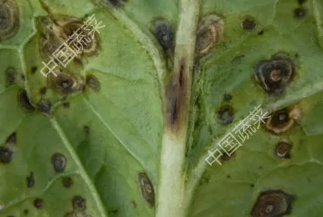 1735777242281840.png 微信图片_20250102081750.png