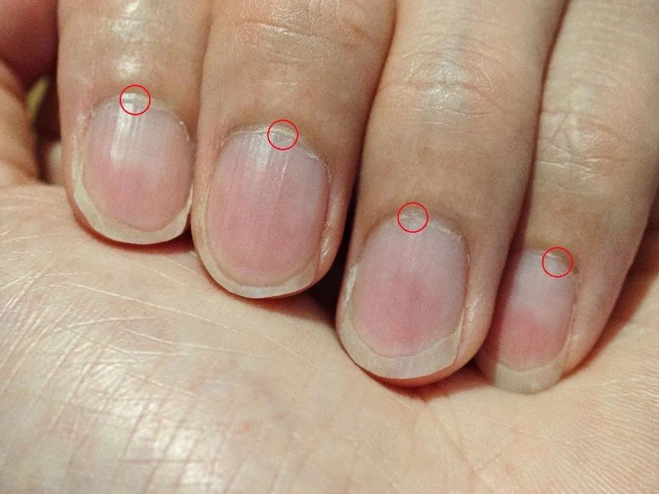 1736932594625295.jpg 微信图片_20250115171307.jpg