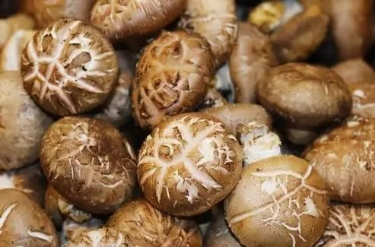 1740466273427714.png 微信截图_20250225144929.png