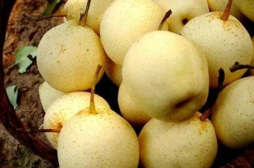 1740466303347817.png 微信截图_20250225144953.png