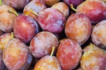 1740466365229823.png 微信截图_20250225145001.png