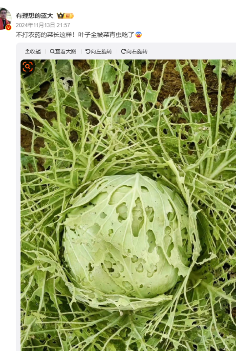 1740467542285514.png 11111111111111.png