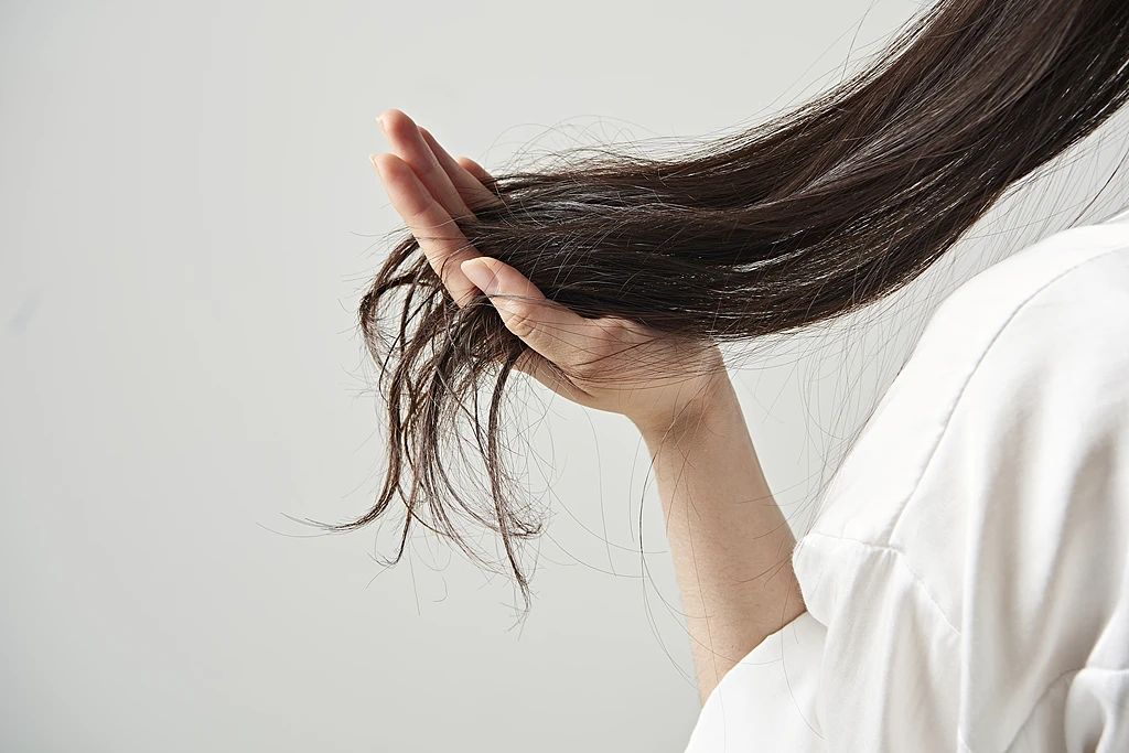 1740983845773374.jpg 微信图片_20250303142415.jpg