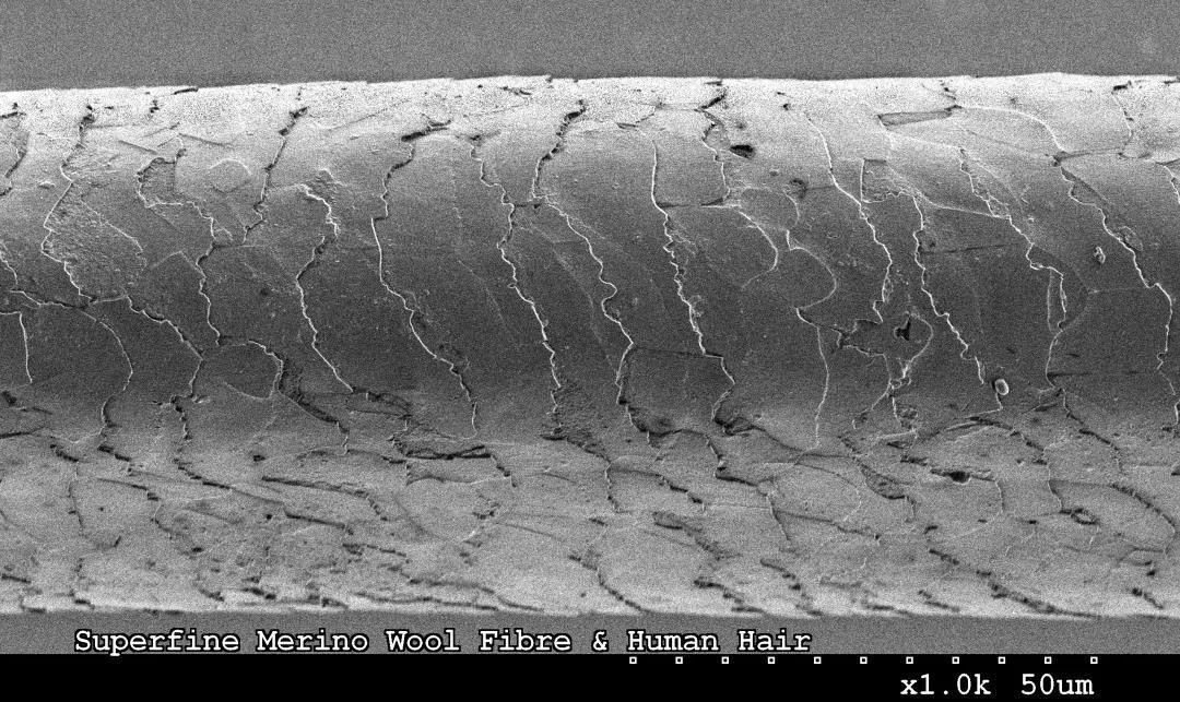 1740983995626569.jpg 微信图片_20250303142409.jpg