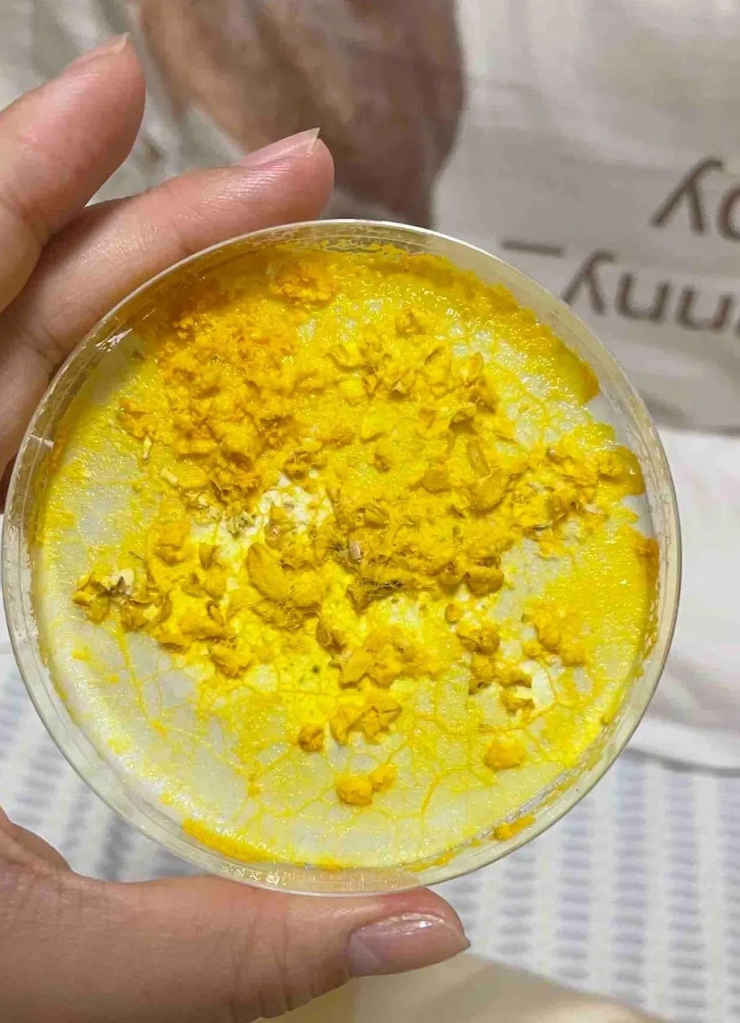 养黏菌当宠物火了,对身体有害吗? 养黏菌当宠物火了,对身体有害吗?