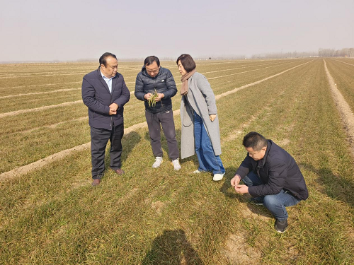 1742355666238271.png 1.png