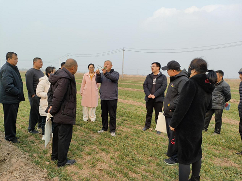 1742368566962787.png 4.png