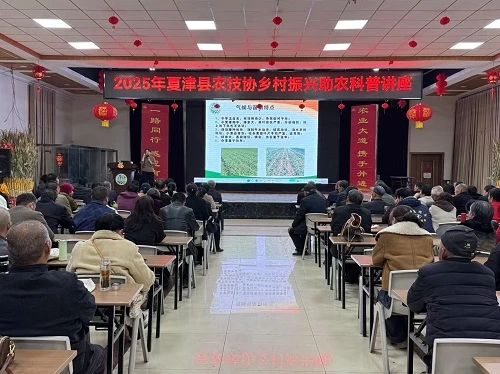 1742368594563231.jpg 1.jpg