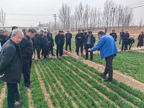 1742368605295821.jpg 2.jpg