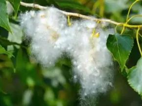 1744094234569908.jpg 微信图片_20250408143621.jpg