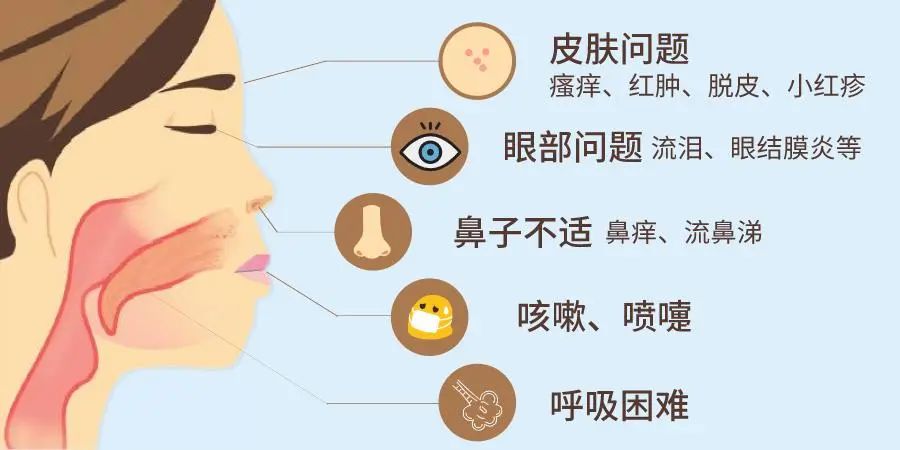 1744094249394911.jpg 微信图片_20250408143635.jpg