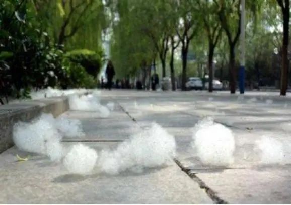 1744094271774514.jpg 微信图片_20250408143654.jpg