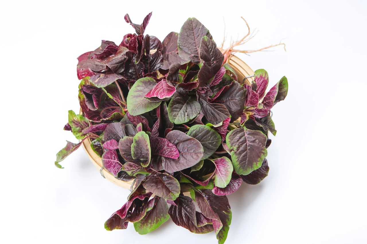 1754300952263408.jpg 微信图片_2025-08-04_174852_011.jpg