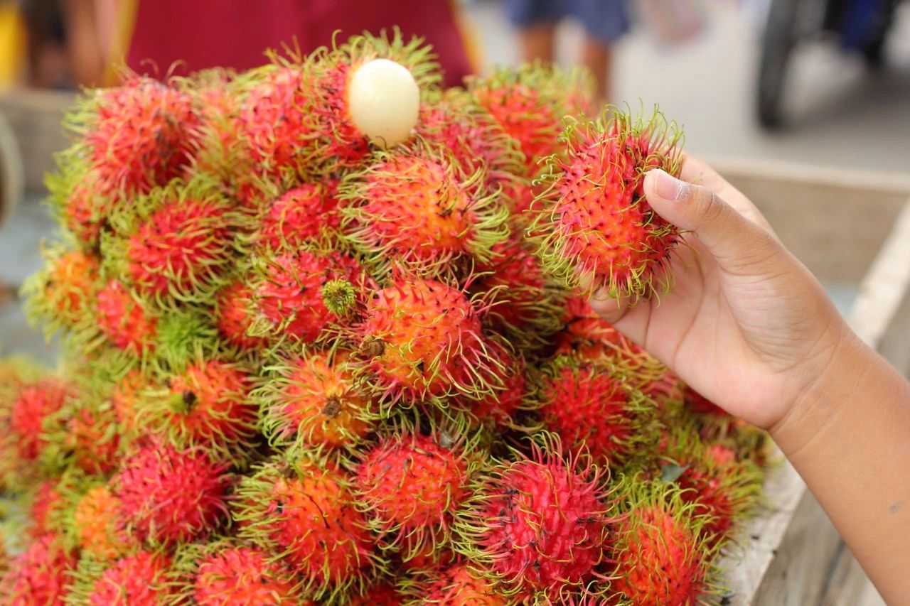 1756170424742269.jpg 微信图片_2025-08-26_090653_259.jpg