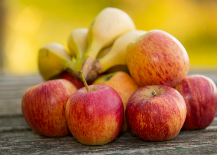 1764553187384635.png 微信图片_2025-12-01_093859_118.png