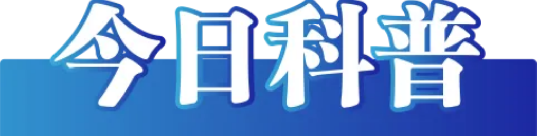 1768299843920752.png 5.png